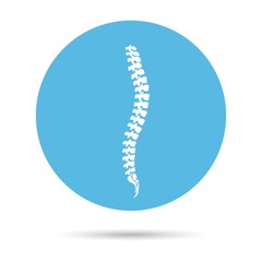 Vector human spine icon isolated silhouette on blue circle.