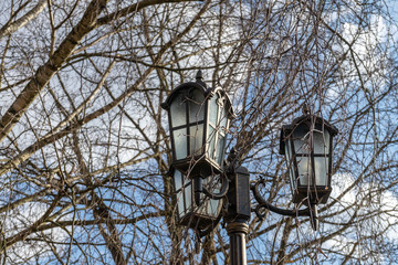 Outdoors vintage lamp post with branches in background