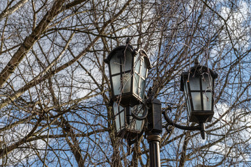 Fototapeta na wymiar Outdoors vintage lamp post with branches in background