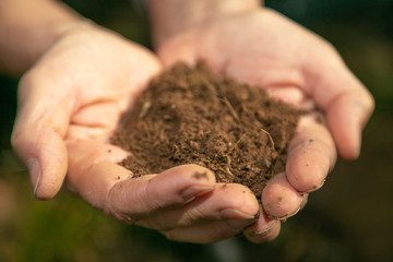 female hands holding a bunch a soil outdoors