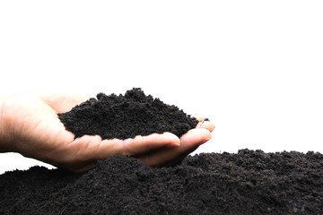 Hand of male holding soil in the hands for planting isolated on a white background.
