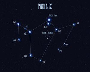 Phoenix constellation, vector illustration with the names of basic stars against the starry sky