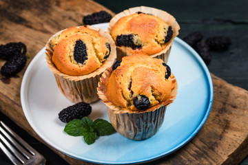 Mulberry muffin cake