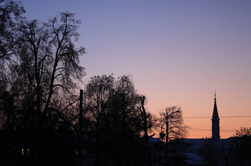 Obraz premium Evening sky with silhouettes of trees and mosque. Some birds on the branches. Dark minaret against dawn.