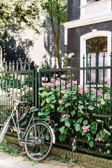 Fototapeta na wymiar Bicycle resting against a fence with flowers in Amsterdam, Netherlands
