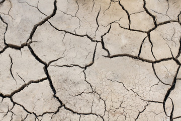 Soil cracked background.Land in dry season.