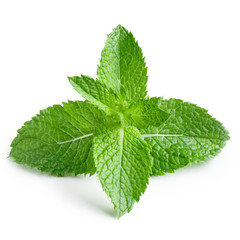 Fresh mint leaves, isolated on white background