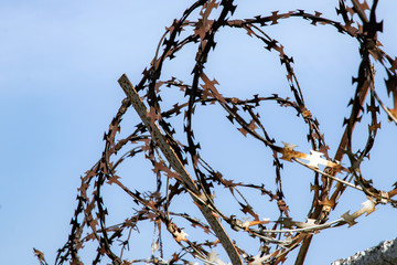 loops of rusty barbed wire on top of a concrete fence against a blue sky, short focus, side view