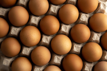 a lot of fresh red eggs in a protective cardboard tray, short focus