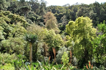 Leafy and green gardens in Sintra