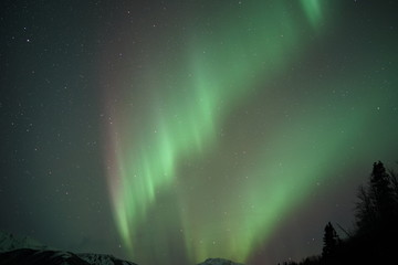 Alaska Northern Light