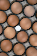 large white pill antibiotic and several eggs in the tray, top view
