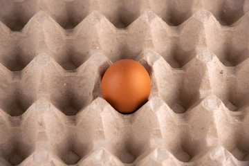 fresh red egg in a protective cardboard tray, short focus