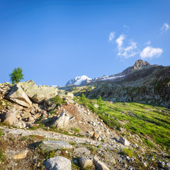 Traveling to beautiful French Alps in summer