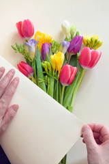 Hands and Bouquets Of Tulips and Freesia