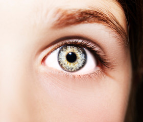 Obraz premium Piękne, wnikliwe spojrzenie. Bliska strzał