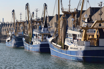 Fishing trawlers in the harbor of Scheveningen, Holland