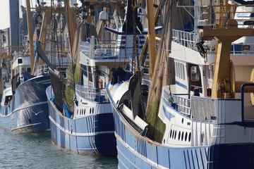 Fishing trawlers in the harbor of Scheveningen, Holland