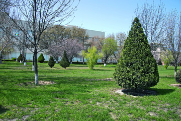 Весна в городе