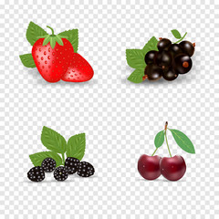 Berry icon set. Black currant, backberry, strawberry and cherry. Berries with green leaves. Organic healthy food. Vector illustration 3d style, eps 10