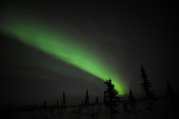 Alaska Northern Light