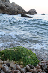 rocks on beach