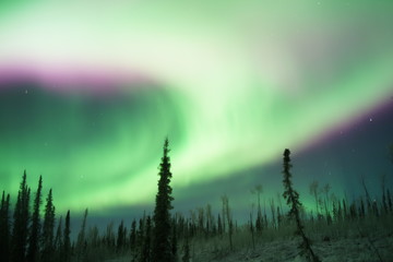 Alaska Northern Light