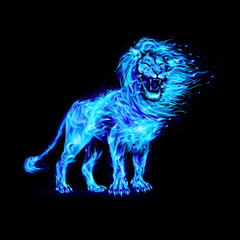 Aggressive Lion in Blue Flames. Illustration on Black Background for Creative Designs