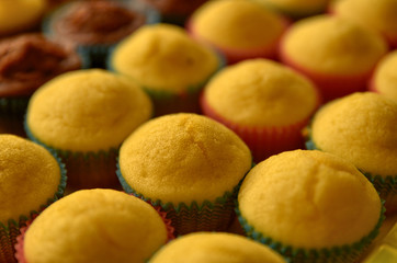 A tray full of cupcakes