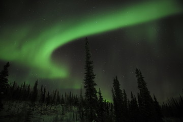 Aurora in Alaska