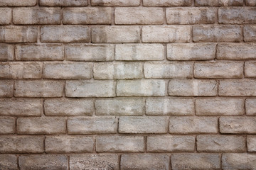 Brick Wall in Summer Sunlight Background Texture