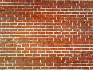 Brick Wall in Summer Sunlight Background Texture