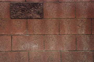 Brick Wall in Summer Sun Background Texture 