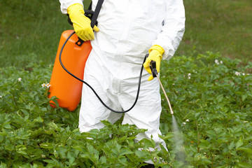 Herbicide spraying. Non-organic vegetables.