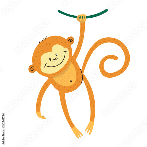 Cute Funny Marmoset Swinging On A Tree A Little Monkey