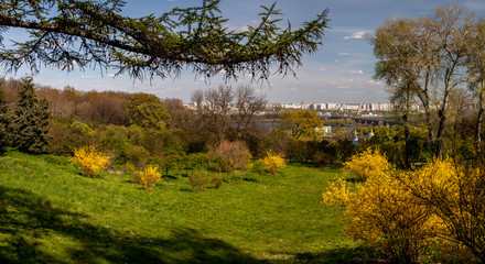 Obraz premium Landscape Spring Goloseevsky Botanikal Park