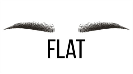 Flat Trendy Vector Hand Drawn Brows Shape. Permanent Brows Tattooing, Grooming Studio. Microblading Master. Beauty, Cosmetology Salon. Eyebrows Style With Title Realistic Illustration