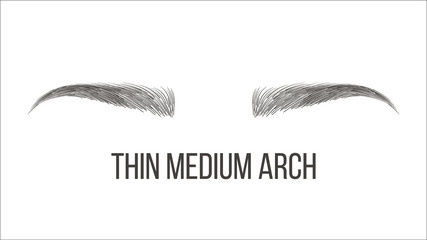 Thin Medium Arch Brows Shape Vector Business Card Template. Female Brows Style With Title Isolated Clipart. Microblading, Tattooing Master Salon, Parlor. Trendy Makeup. Eyebrows Realistic Illustration