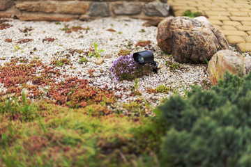 Forged street lights, for the testimony of a courtyard with landscape design with various ornamental plants and trees, and other street lighting on the private home.