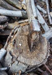 old rusty ax sticks out in wooden deck