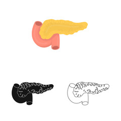 Vector design of pancreas and organ  symbol. Set of pancreas and diagram stock vector illustration.