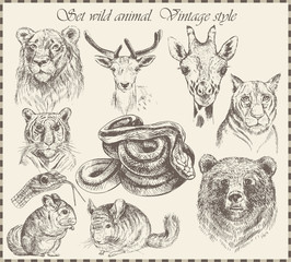 vector set: different wild animals
