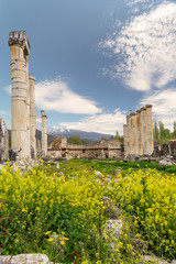 Afrodisias Ancient City, Karacasu - Aydin - Turkey