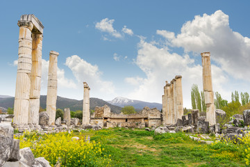Afrodisias Ancient City, Karacasu - Aydin - Turkey