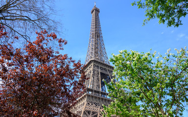 La Tour Eiffel avec des arbres et des fleurs en premier plan sur fond de ciel bleu