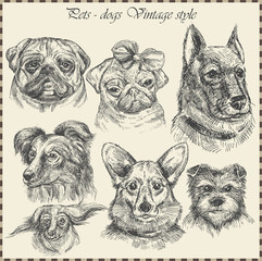 Set Dog in vintage style. Hand drawn vector illustration