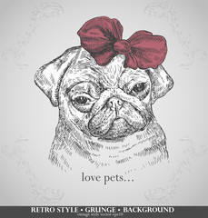 head pug dogs in retro style. Hand drawn vector illustration