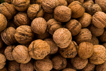 harvest walnuts group shot close up