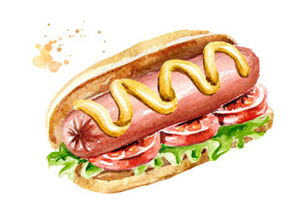 Hot dog with sausage, Lettuce salad, fresh tomato and mustard. Watercolor hand drawn illustration, isolated on white background
