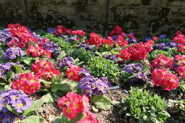 Jardin du Luxembourg